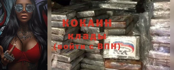 молекула духа Алзамай