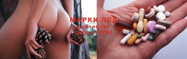молекула духа Алзамай