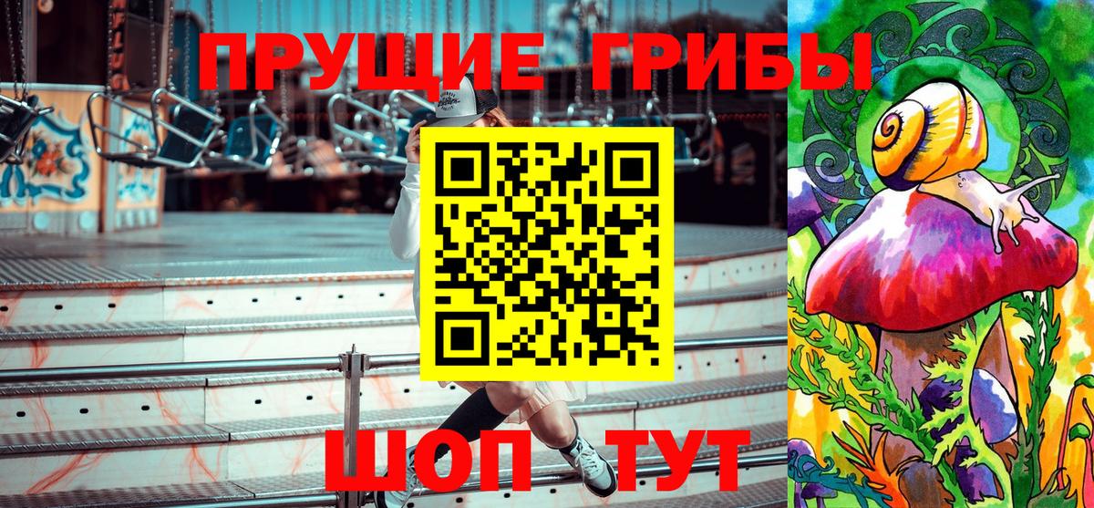 Псилоцибиновые грибы Psilocybe  Вход с VPN  Ялта  Псилоцибиновые грибы мухоморы 